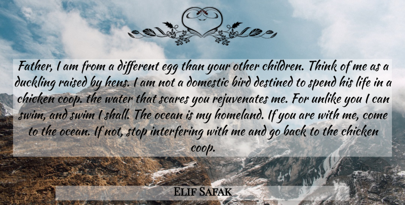 Elif Safak Quote About Children, Father, Ocean: Father I Am From A...