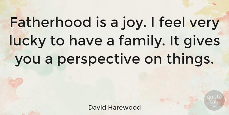 David Harewood Quote About Giving, Perspective, Joy: Fatherhood Is A Joy I...