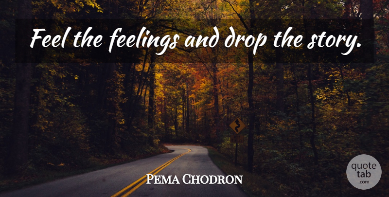 Pema Chodron Quote About Feelings, Stories, Feels: Feel The Feelings And Drop...
