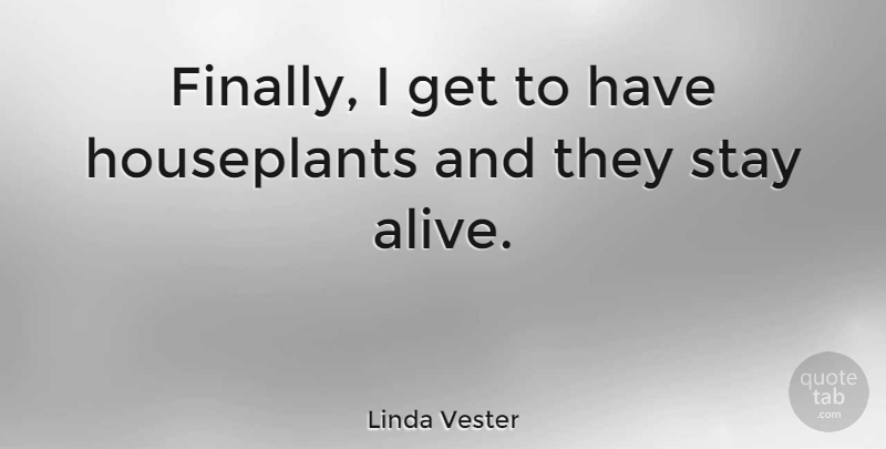 Linda Vester Quote About American Entertainer: Finally I Get To Have...
