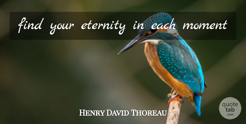 Henry David Thoreau Quote About Carpe Diem, Islands, Eternity Of Life: Find Your Eternity In Each...