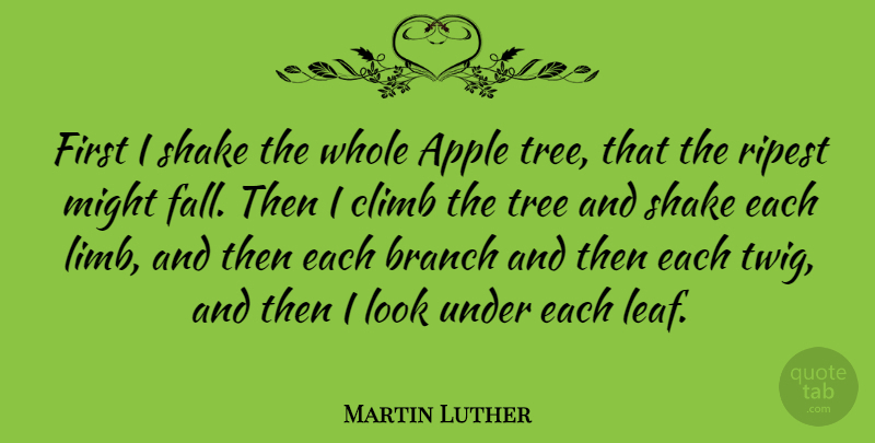 Martin Luther Quote About Encouragement, Fall, Apples: First I Shake The Whole...