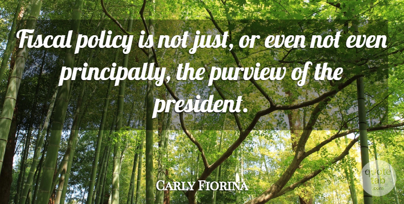 Carly Fiorina Quote About President, Fiscal Policy, Policy: Fiscal Policy Is Not Just...