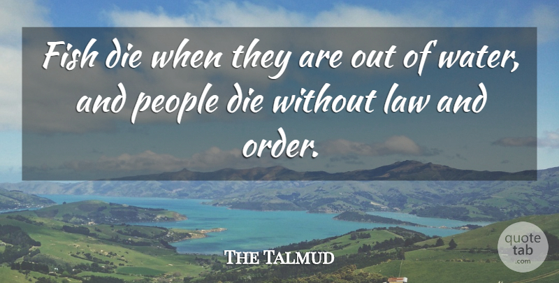 The Talmud Quote About Die, Fish, Law, Law And Lawyers, People: Fish Die When They Are...