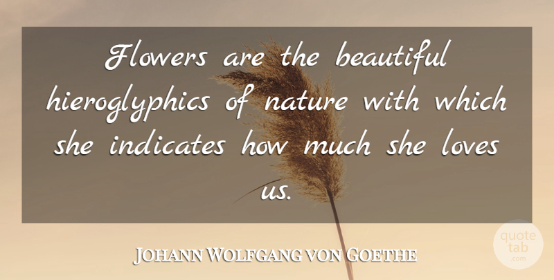 Johann Wolfgang von Goethe Quote About Beautiful, Flower, Garden: Flowers Are The Beautiful Hieroglyphics...