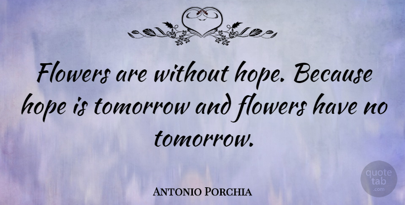 Antonio Porchia Quote About Flower, Sunshine, Blossoming: Flowers Are Without Hope Because...