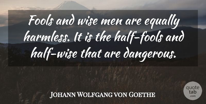 Johann Wolfgang von Goethe Quote About Wise, Men, Half: Fools And Wise Men Are...
