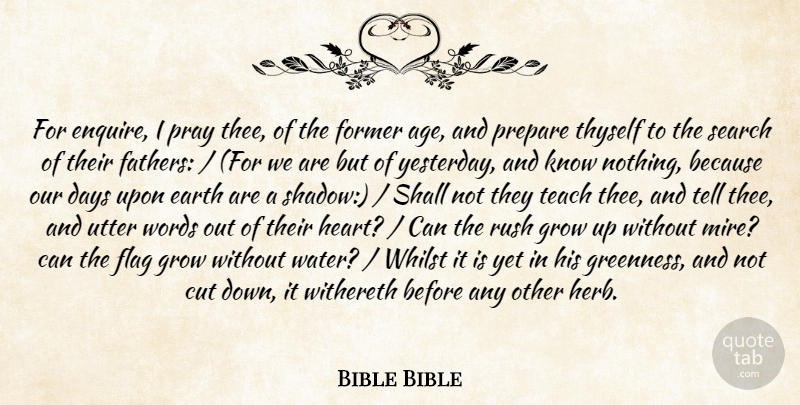Bible Bible Quote About Age And Aging, Cut, Days, Earth, Flag: For Enquire I Pray Thee...