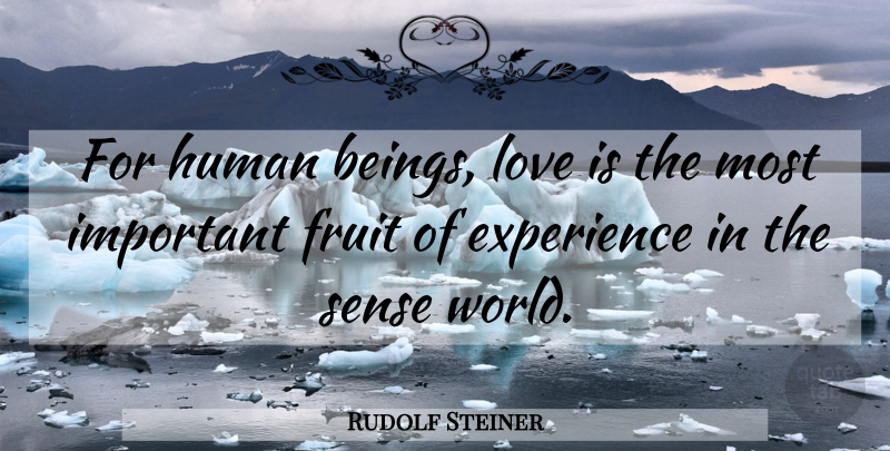Rudolf Steiner Quote About Love Is, Important, Fruit: For Human Beings Love Is...