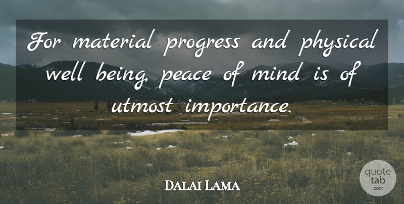 Dalai Lama Quote About Mind, Progress, Importance: For Material Progress And Physical...
