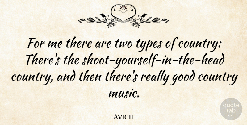 Avicii Quote About Country, Good, Music, Types: For Me There Are Two...