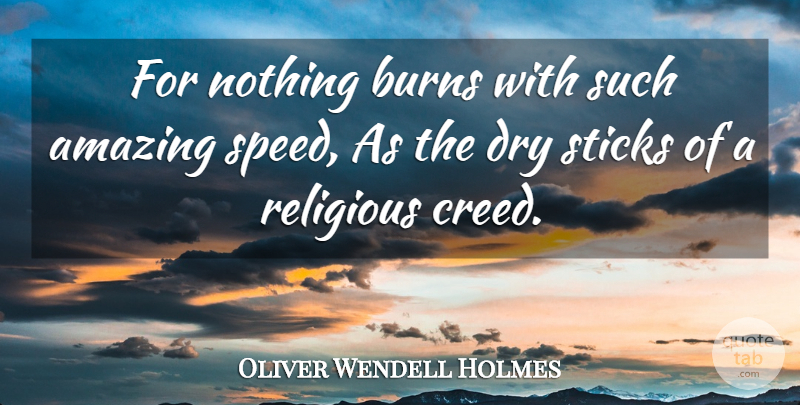 Oliver Wendell Holmes Quote About Religious, Sticks, Dry: For Nothing Burns With Such...
