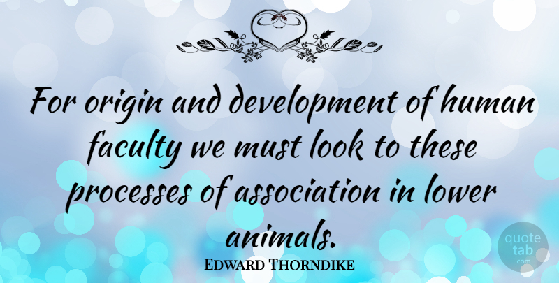 Edward Thorndike Quote About Animal, Development, Association: For Origin And Development Of...