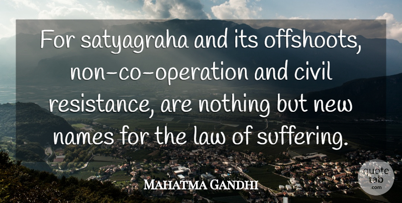 Mahatma Gandhi Quote About Names, Law, Suffering: For Satyagraha And Its Offshoots...