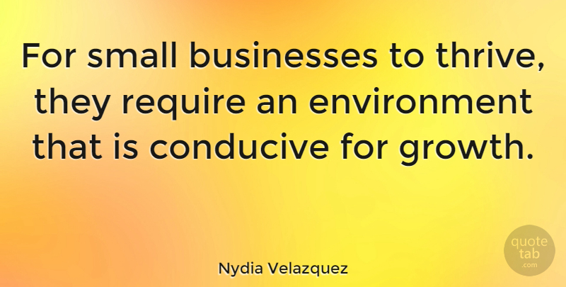 Nydia Velazquez Quote About Growth, Environment, Small Business: For Small Businesses To Thrive...