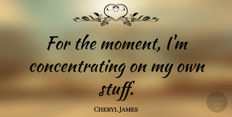 Cheryl James Quote About Stuff, Moments, My Own: For The Moment Im Concentrating...
