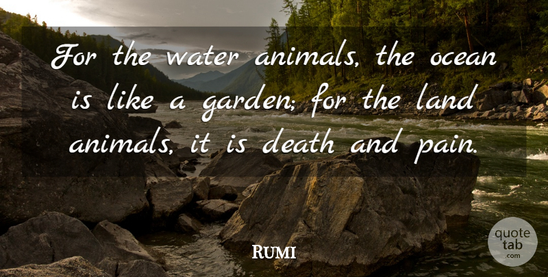 Rumi Quote About Pain, Ocean, Garden: For The Water Animals The...