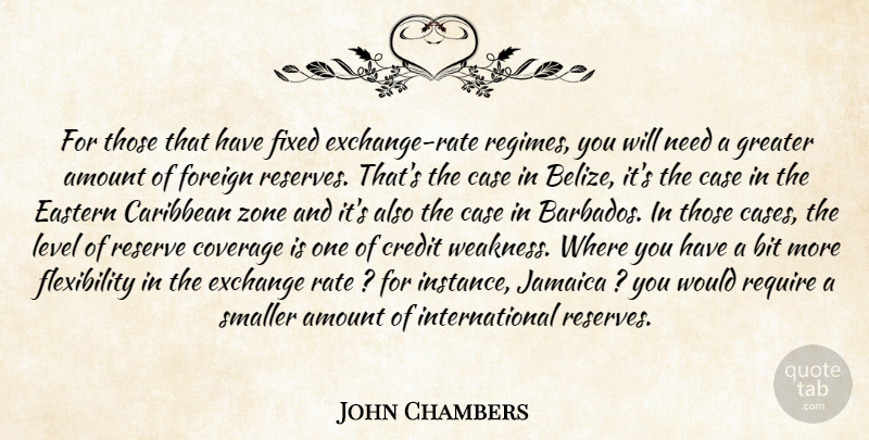 John Chambers Quote About Amount, Bit, Caribbean, Case, Coverage: For Those That Have Fixed...
