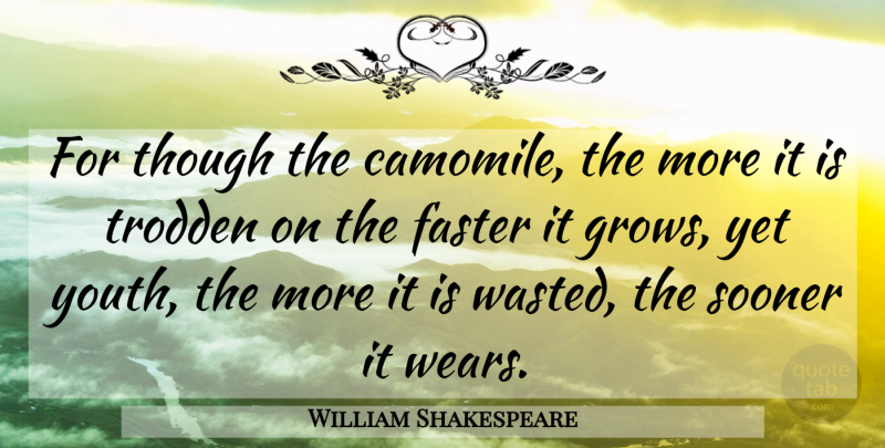 William Shakespeare Quote About Youth, Faster, Grows: For Though The Camomile The...