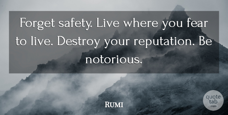 Rumi Quote About Inspirational, Motivational, Freedom: Forget Safety Live Where You...