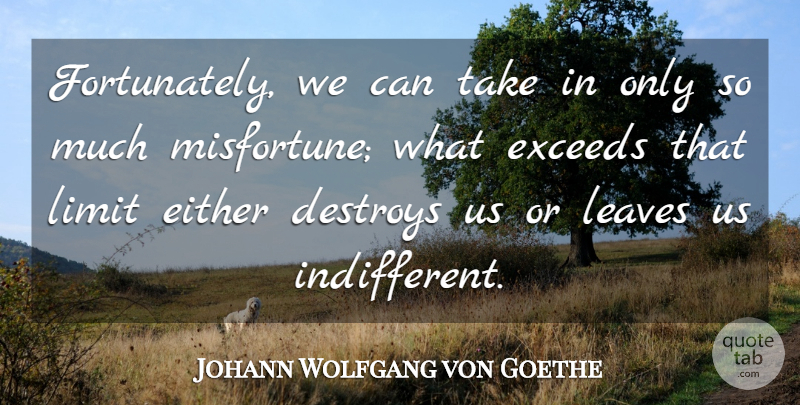 Johann Wolfgang von Goethe Quote About Limits, Indifferent, Exceed: Fortunately We Can Take In...