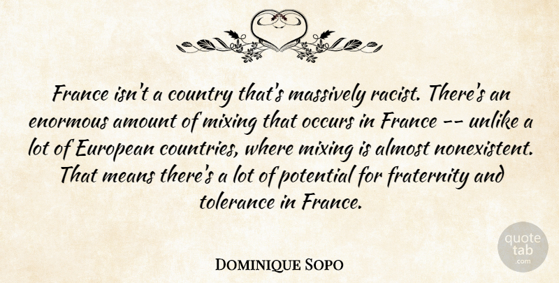Dominique Sopo Quote About Almost, Amount, Country, Enormous, European: France Isnt A Country Thats...