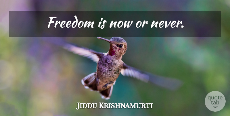 Jiddu Krishnamurti Quote About Spiritual, Now Or Never: Freedom Is Now Or Never...