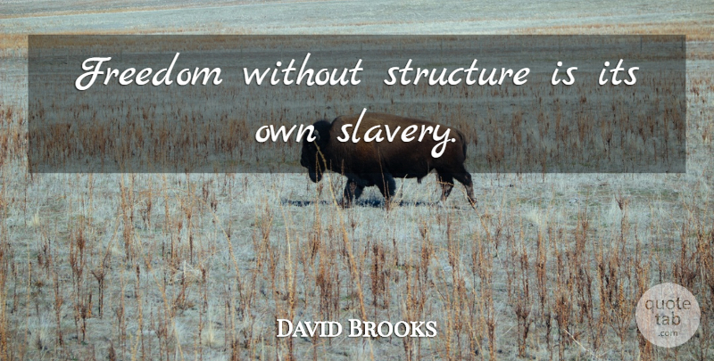 David Brooks Quote About Slavery, Structure: Freedom Without Structure Is Its...