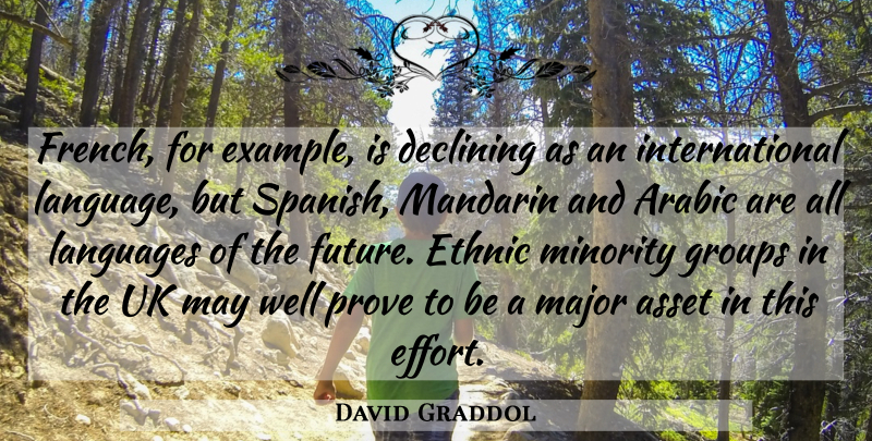 David Graddol Quote About Effort, Example, Minorities: French For Example Is Declining...
