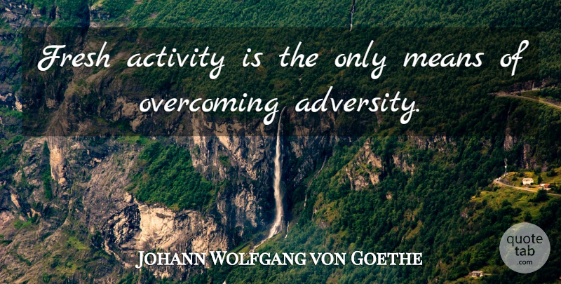 Johann Wolfgang von Goethe Quote About Inspirational, Mean, Adversity: Fresh Activity Is The Only...
