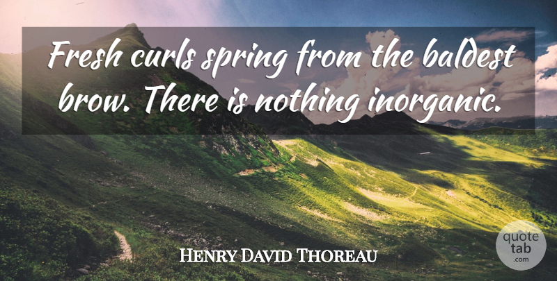 Henry David Thoreau Quote About Life, Nature, Spring: Fresh Curls Spring From The...