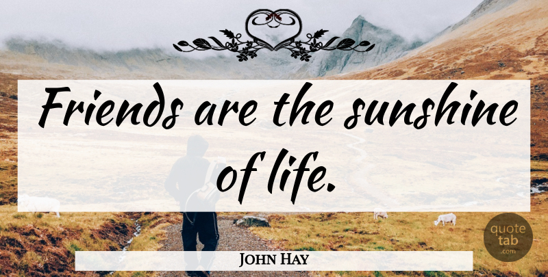 John Hay Quote About Relationship, Sunshine: Friends Are The Sunshine Of...