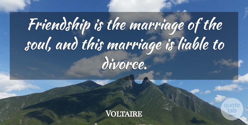Voltaire Quote About Friendship, Valentines Day, Divorce: Friendship Is The Marriage Of...