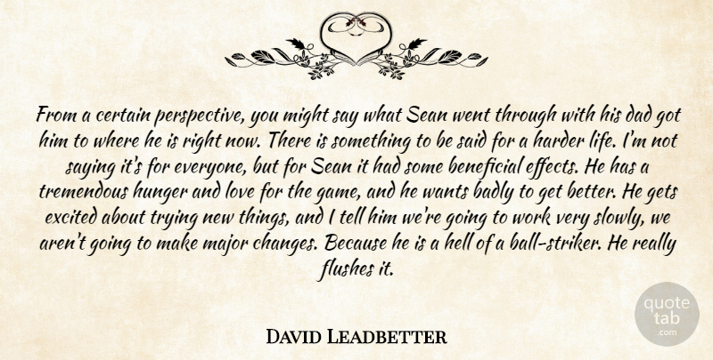 David Leadbetter Quote About Badly, Beneficial, Certain, Dad, Excited: From A Certain Perspective You...