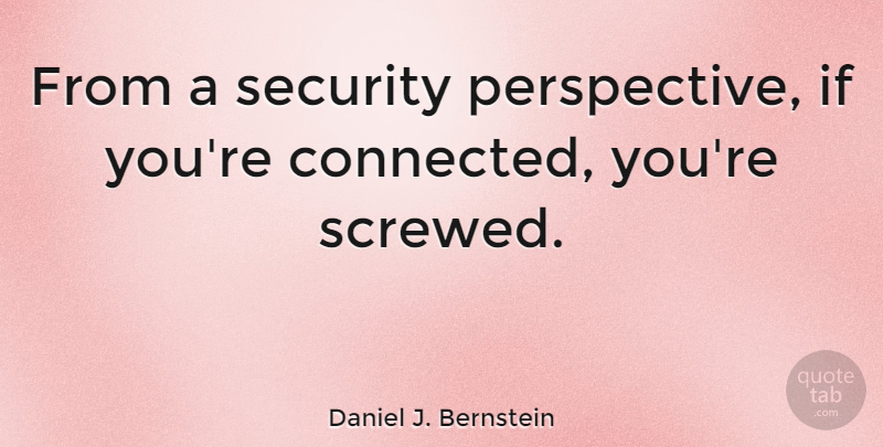 Daniel J. Bernstein Quote About Perspective, Connected, Ifs: From A Security Perspective If...