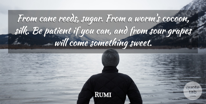 Rumi Quote About Sweet, Cocoons, Sugar: From Cane Reeds Sugar From...