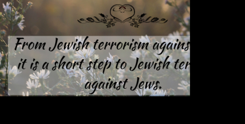 David Ben-Gurion Quote About Steps, Terrorism, Jew: From Jewish Terrorism Against Arabs...