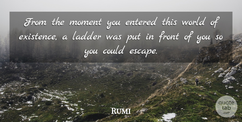 Rumi Quote About Past, Ladders, World: From The Moment You Entered...
