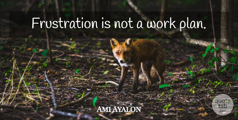 Ami Ayalon Quote About Frustration, Plans: Frustration Is Not A Work...