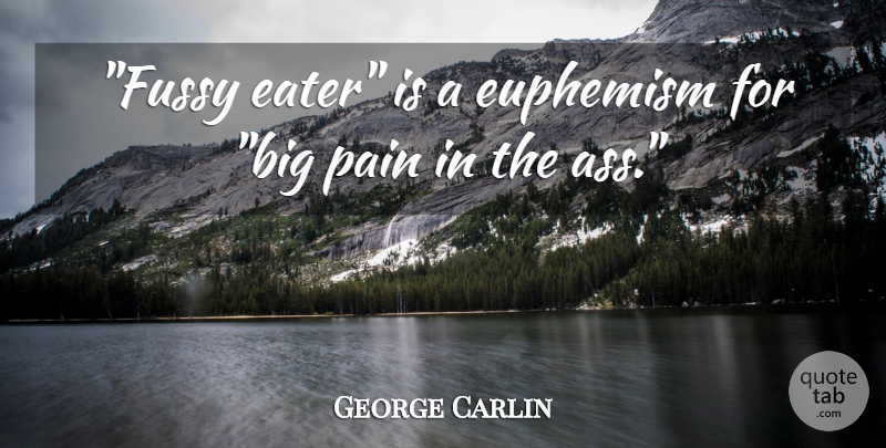 George Carlin Quote About Pain, Humorous, Ass: Fussy Eater Is A Euphemism...
