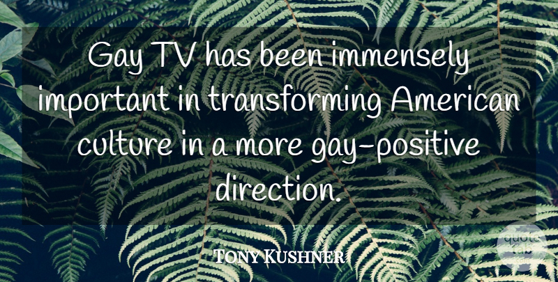 Tony Kushner Quote About Gay, Important, Tvs: Gay Tv Has Been Immensely...