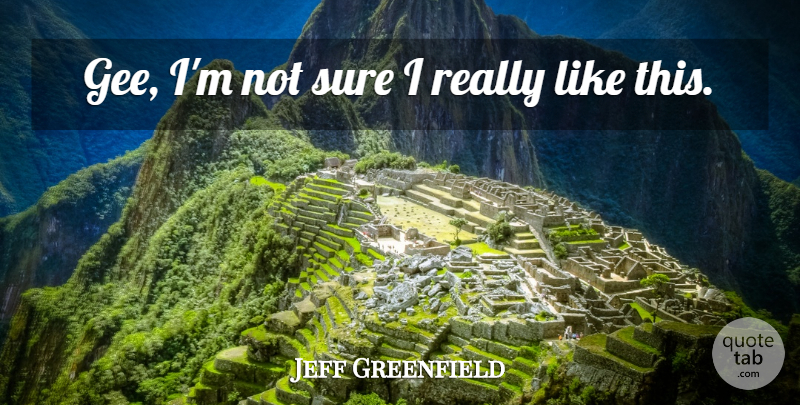 Jeff Greenfield Quote About Sure: Gee Im Not Sure I...
