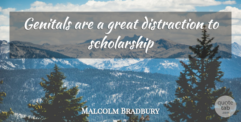 Malcolm Bradbury Quote About Distraction, Scholarship: Genitals Are A Great Distraction...