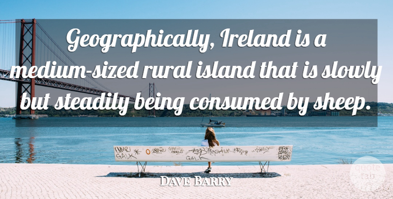 Dave Barry Quote About Islands, Sheep, Mediums: Geographically Ireland Is A Medium...