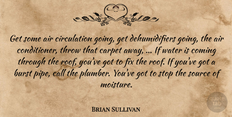 Brian Sullivan Quote About Air, Burst, Call, Carpet, Coming: Get Some Air Circulation Going...