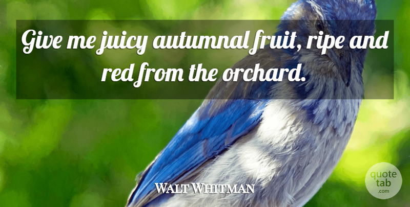 Walt Whitman Quote About Autumn, Giving, Juicy: Give Me Juicy Autumnal Fruit...
