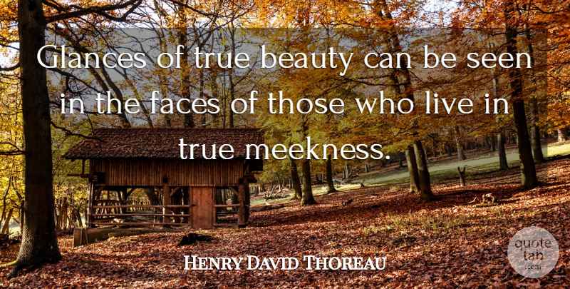 Henry David Thoreau Quote About Beauty, Faces, Glances: Glances Of True Beauty Can...