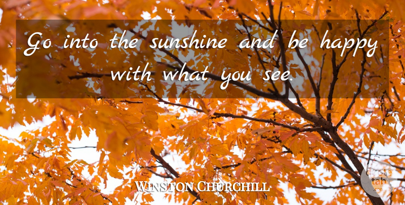 Winston Churchill Quote About Sunshine: Go Into The Sunshine And...
