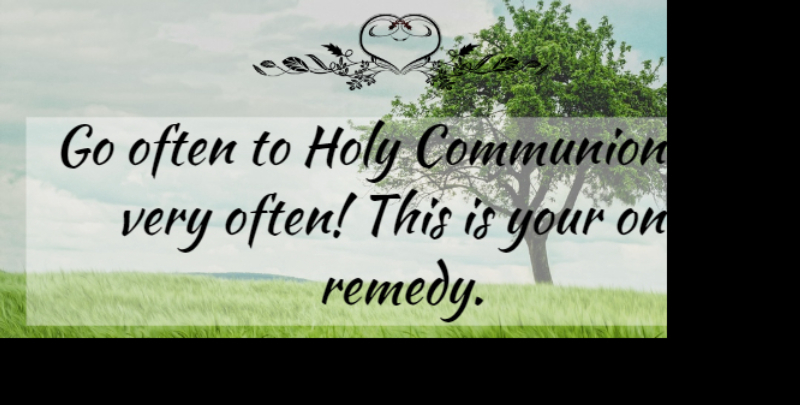 Therese of Lisieux Quote About Holy, Communion, Remedy: Go Often To Holy Communion...