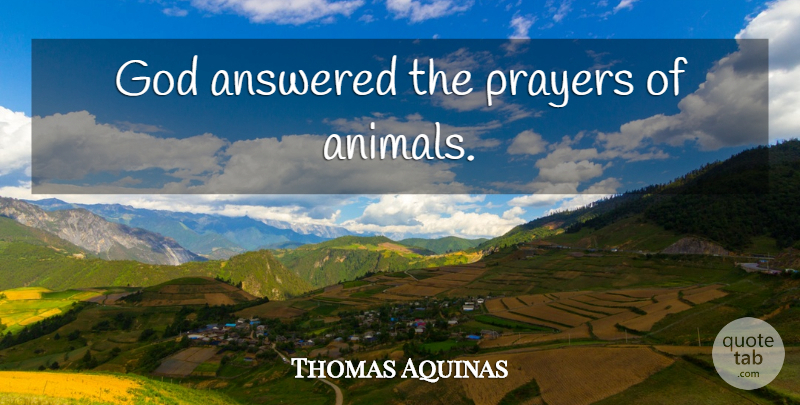 Thomas Aquinas Quote About Prayer, Animal: God Answered The Prayers Of...